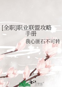[全职同人] 职业联盟攻略守册